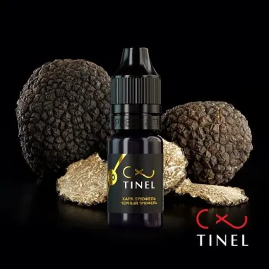 Tinel Eyeliner-Pigmente E0 Black Truffle