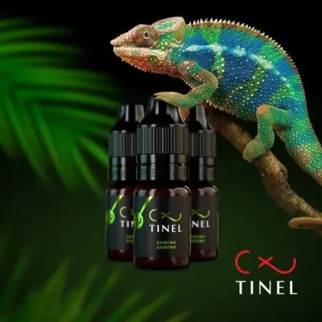 Tinel Pigmenty na obočie Cover Up